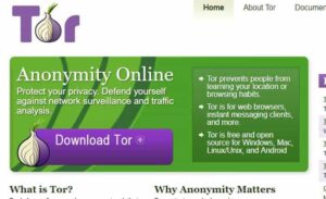 download and install tor browser