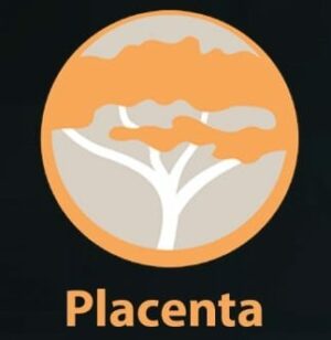 placenta kodi 17.6 download