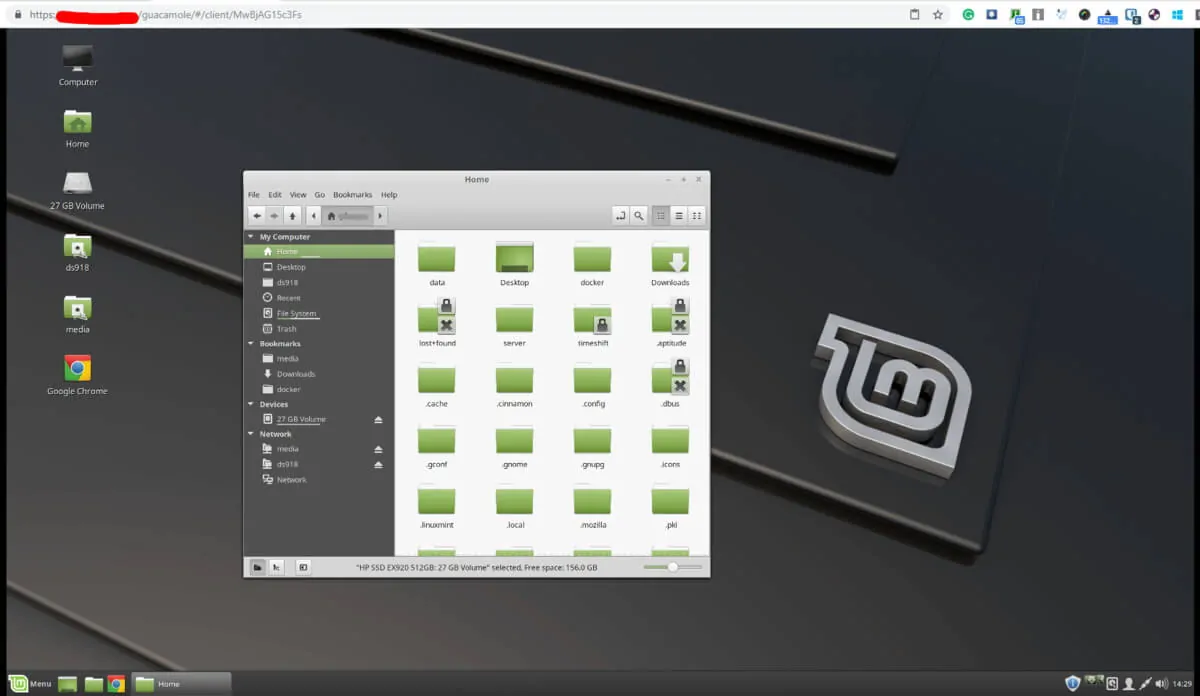 install vnc viewer linux mint