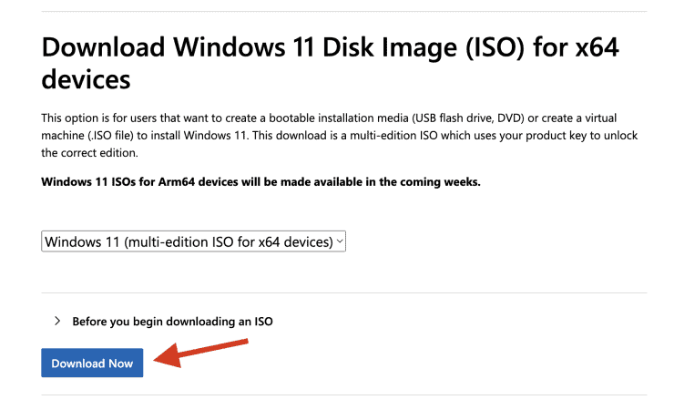 Downloading Windows 11 Disk Image To Install On Proxmox