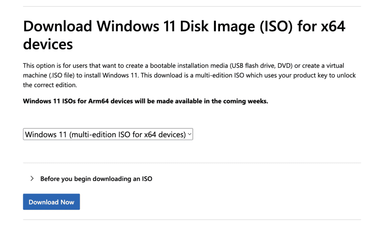 Selecting The Windows 11'S Disk Image Edition